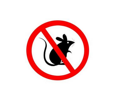 鼠工作需要利用鼠类的特点制定方案
